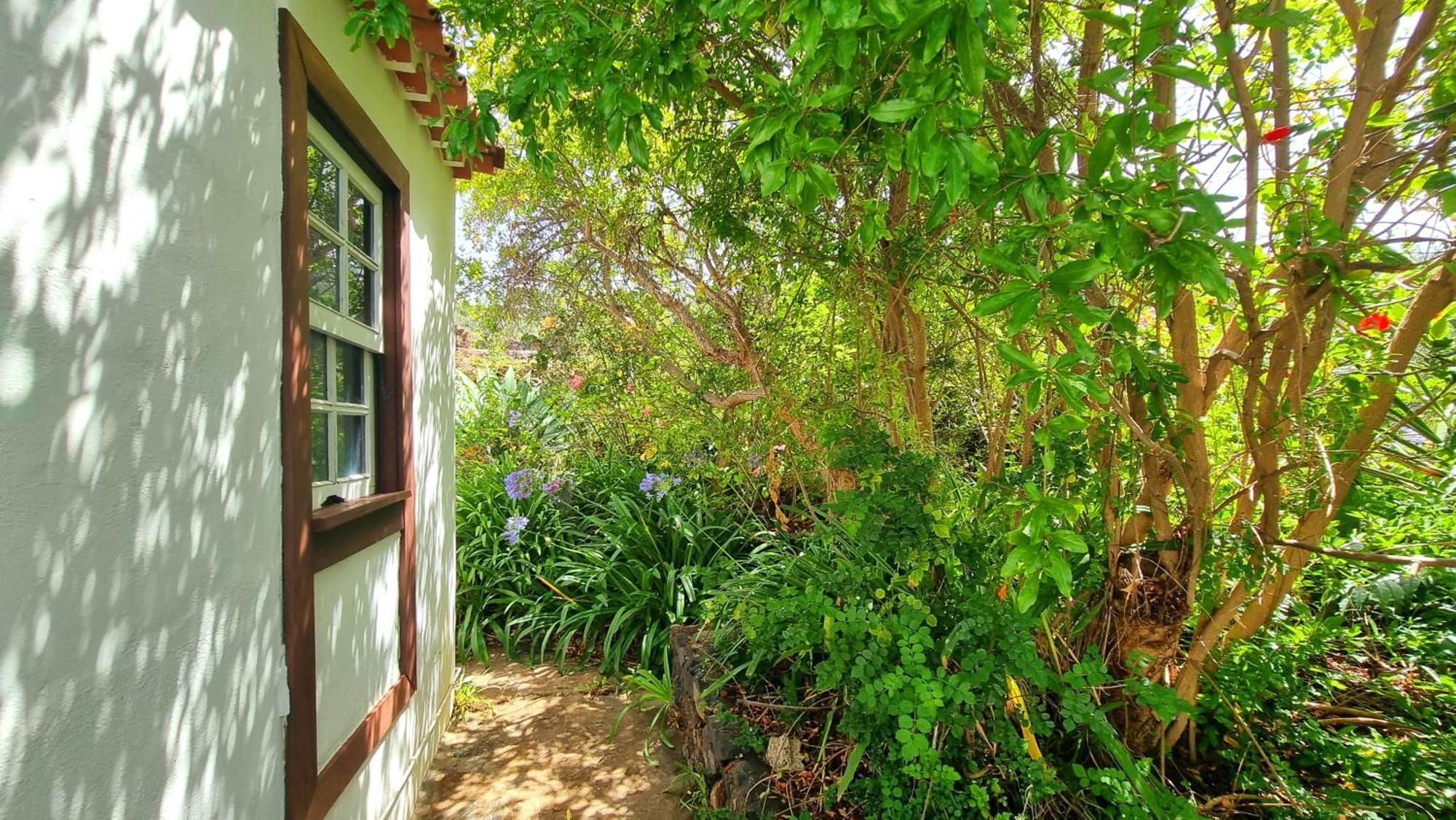El Jócamo Puntagorda Exterior foto